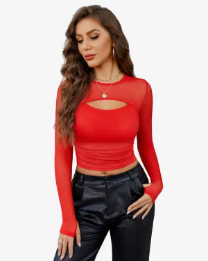 Sheer Mesh Long Sleeve Crop Top